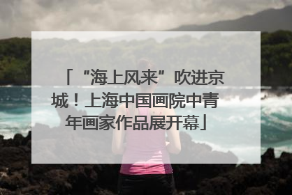 “海上风来”吹进京城！上海中国画院中青年画家作品展开幕